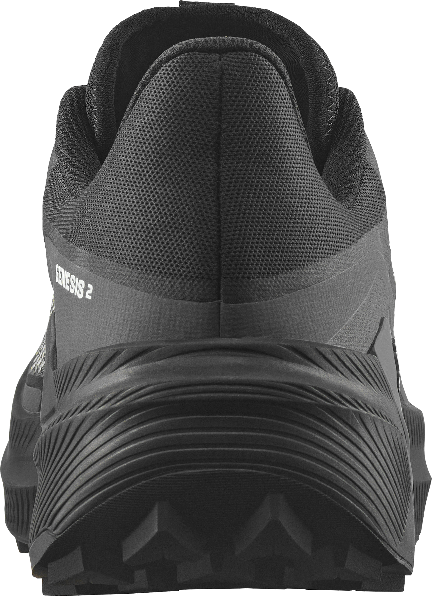 SALOMON, M GENESIS 2