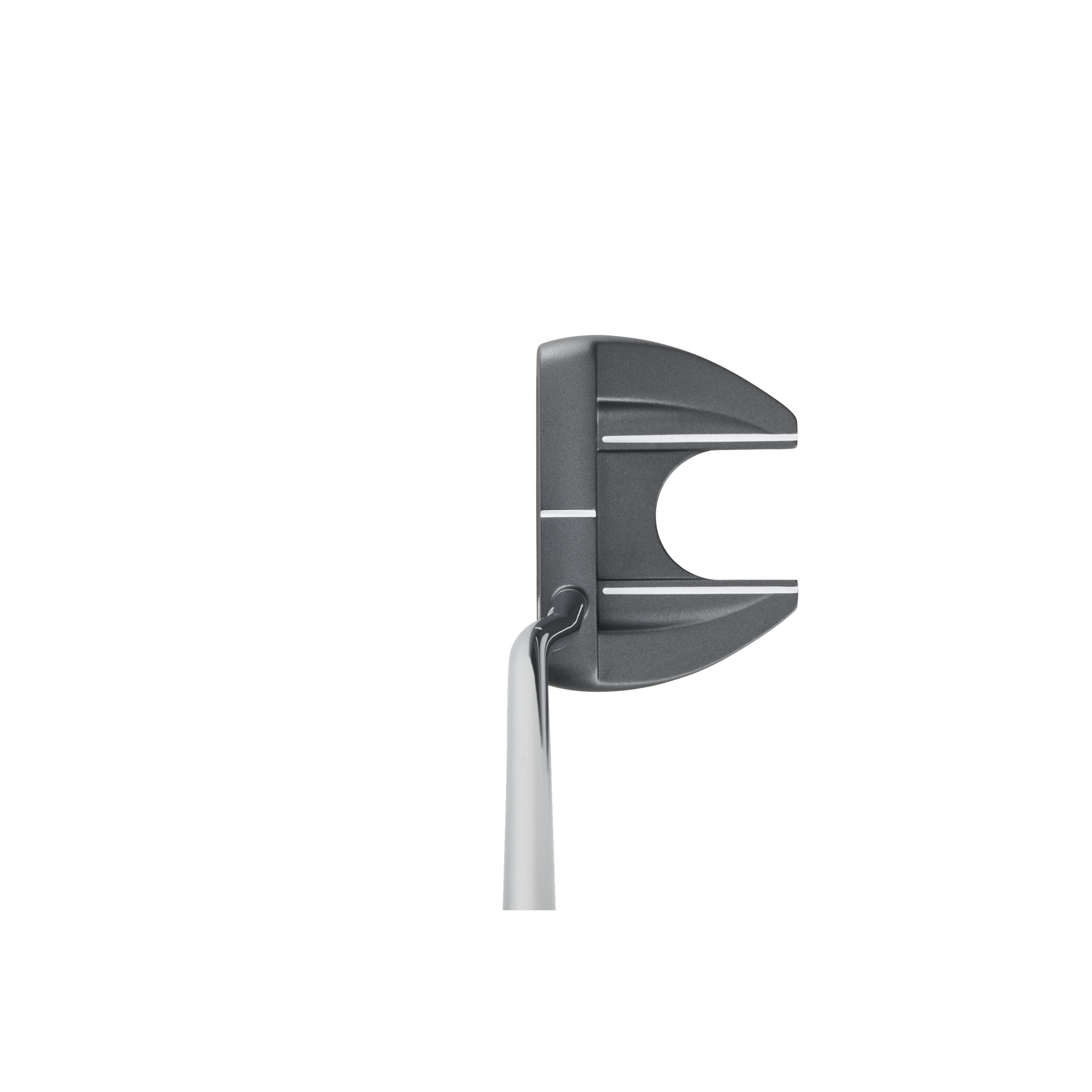 ODYSSEY, Dfx 25 Vline Fang Pstl Rh