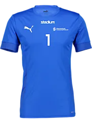 394120102101 PUMA T Goal Matchday Jsy 394120102101 PUMA T Goal Matchday Jsy Standard Small1x1