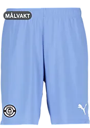 391942109101 PUMA T Goal Shorts 391942109101 PUMA T Goal Shorts Standard Small1x1