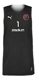 391385101101 PUMA Hoops Team Junior Reversible Practice Jersey 391385101101 PUMA Hoops Team Junior Reversible Practice Jersey Standard Small1x1