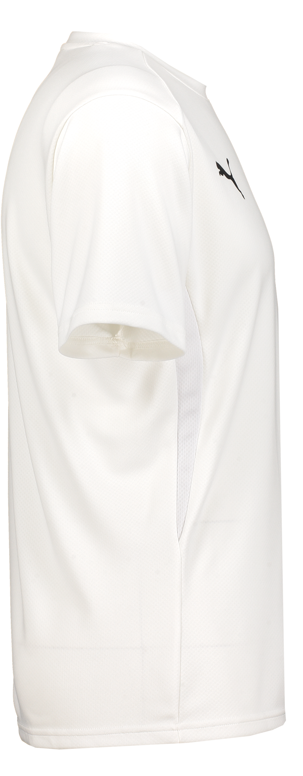 PUMA, T Goal Trg Jsy