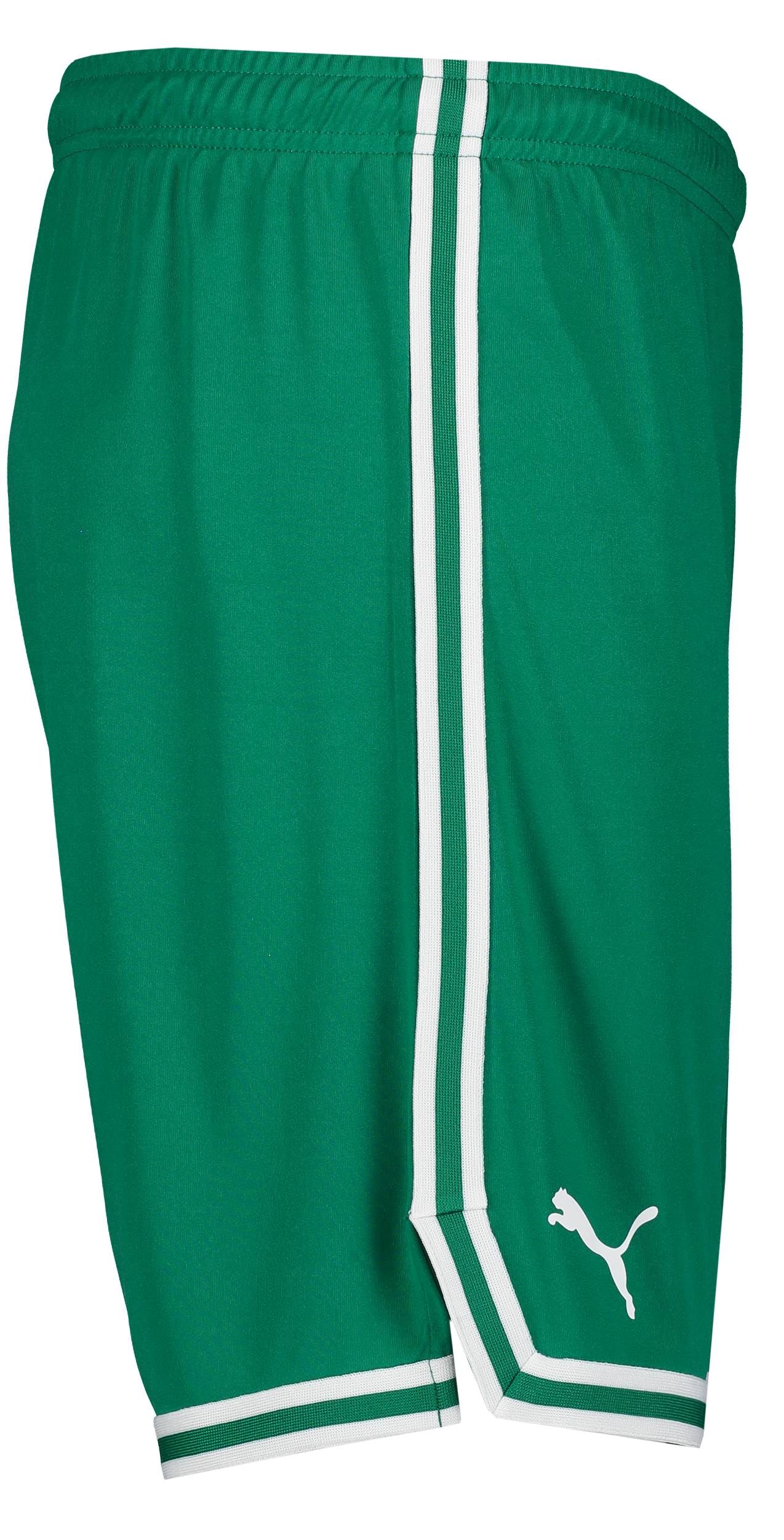 PUMA, Hoops Team Game Short