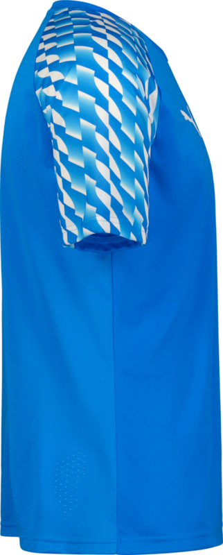 PUMA, TEAMLIGA26 JERSEY