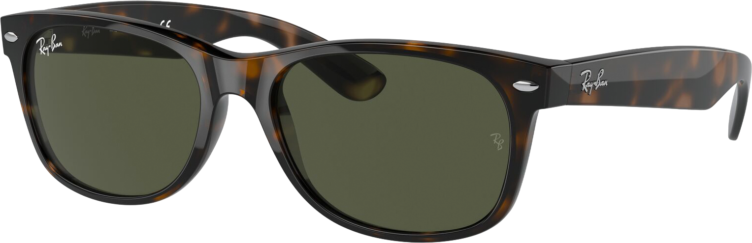 
RAY-BAN, 
NEW WAYFARER, 
Detail 1
