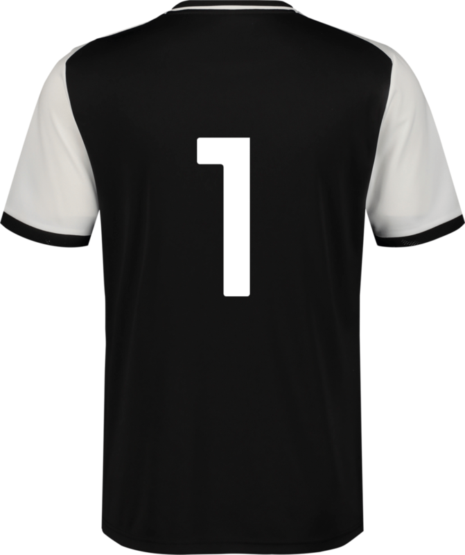 PUMA, TEAMLIGA26 MATCHDAY JERSEY