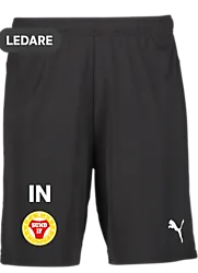 391942103101 PUMA T Goal Shorts 391942103101 PUMA T Goal Shorts Standard Small1x1