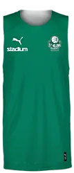 387569103101 PUMA Hoops Team Reverse Practice Jersey 387569103101 PUMA Hoops Team Reverse Practice Jersey Standard Small1x1