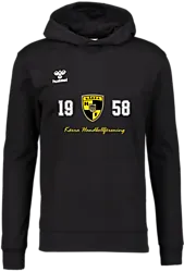 393935101101 HUMMEL Go 2.0 Hoodie Jr 393935101101 HUMMEL Go 2.0 Hoodie Jr Standard Small1x1