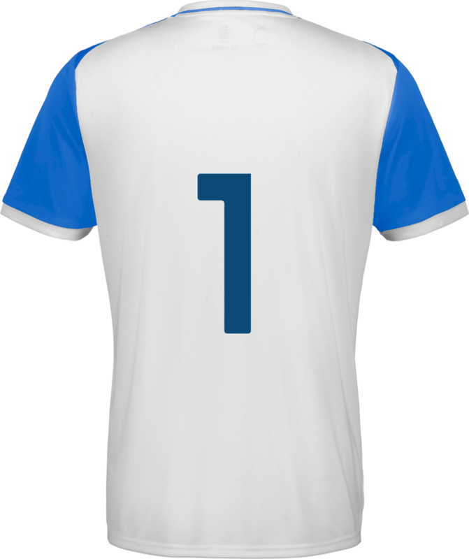 PUMA, TEAMLIGA26 MATCHDAY JERSEY JR