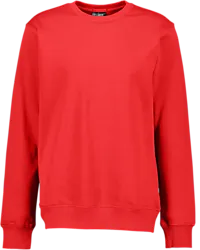 Classic Roundneck - Red Standard Small1x1