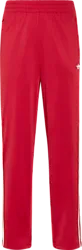 J FIREBIRD TP - TMVIRE Standard Small1x1