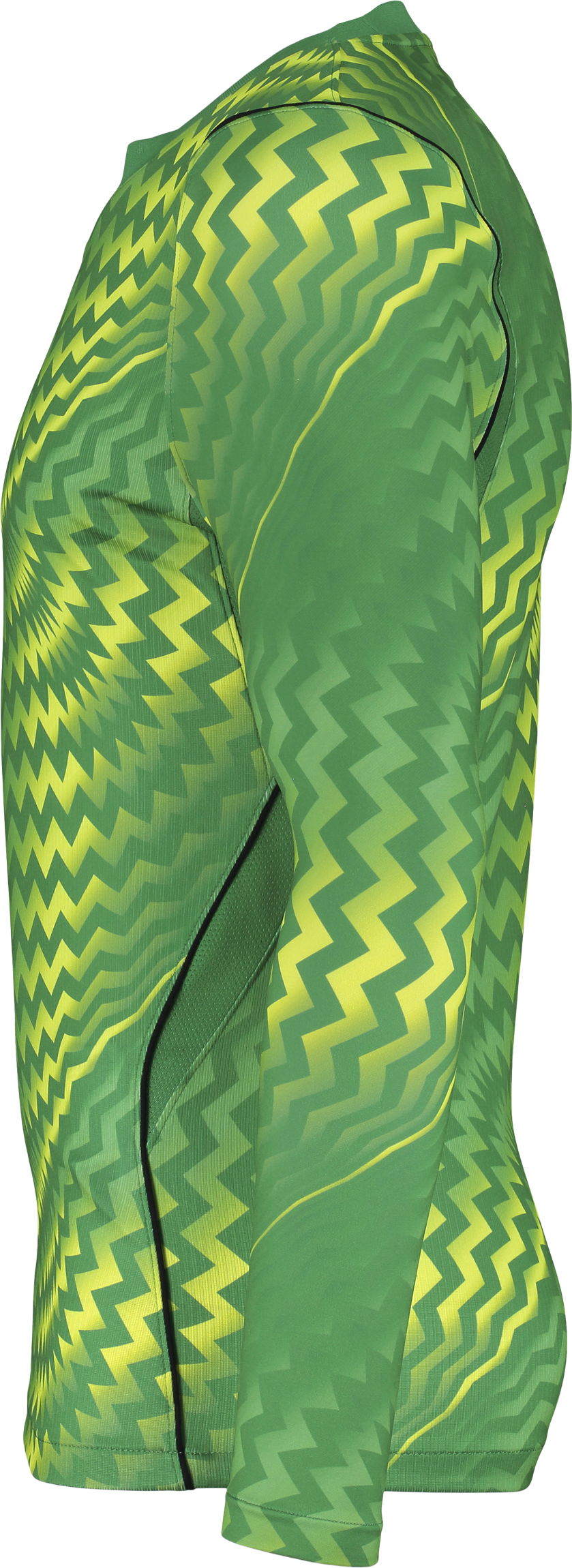 NIKE, GARDIEN VI GK LS JSY