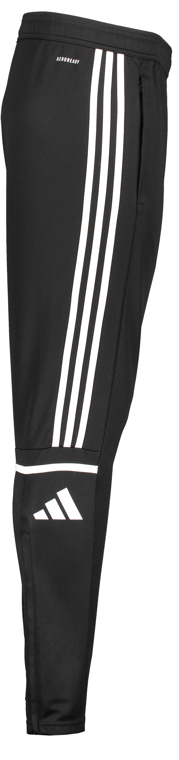 ADIDAS, Squad25 Tr Pnt Jr