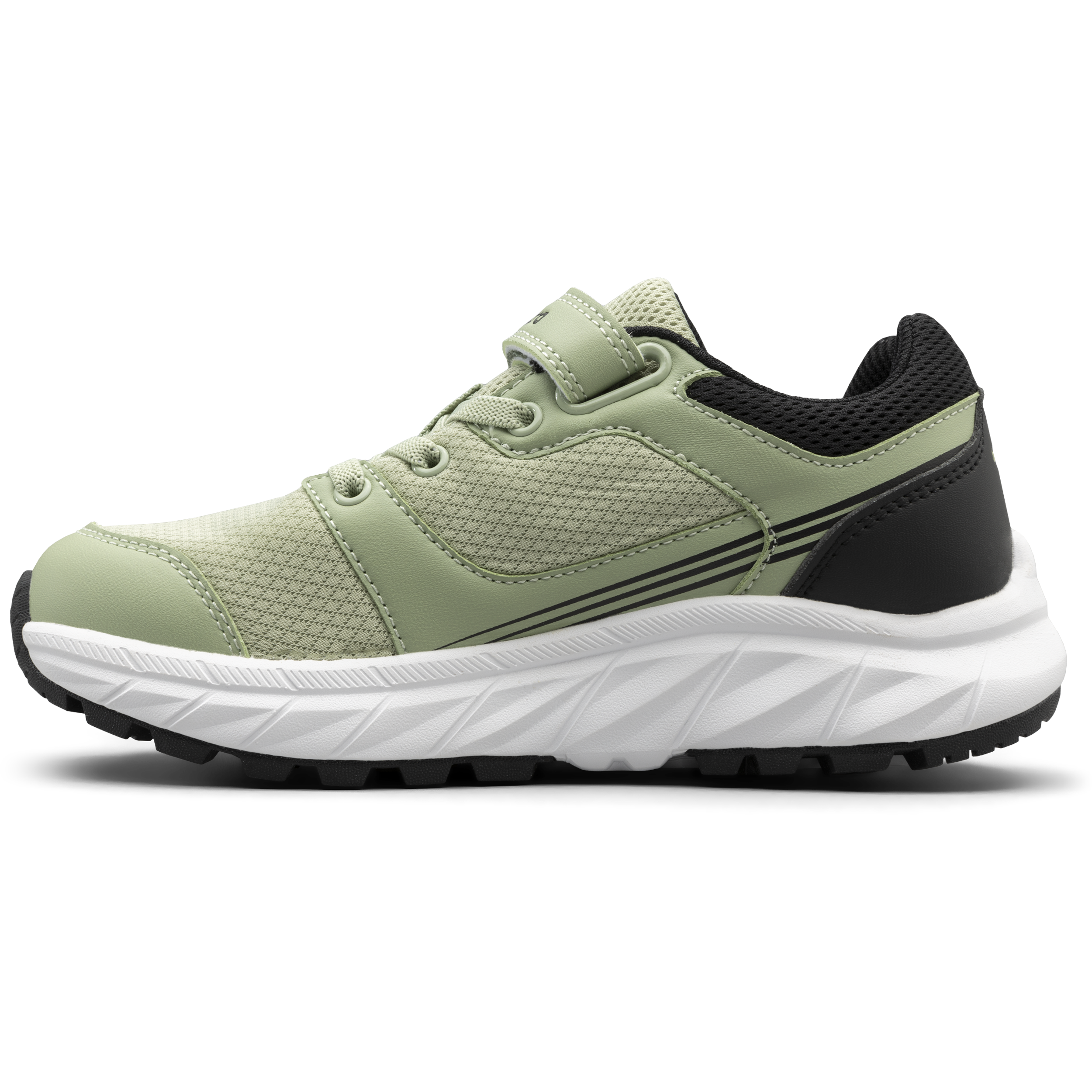 BAGHEERA, Alpha Snk Jr