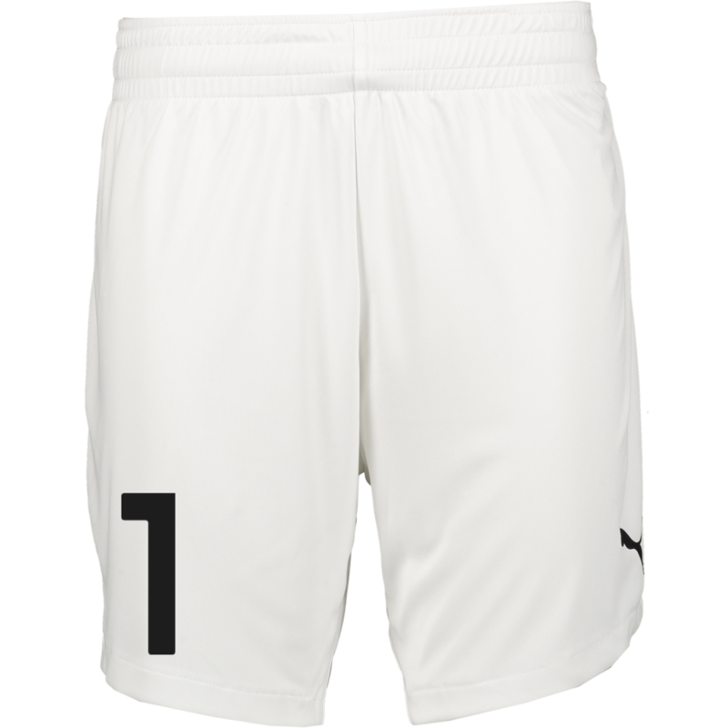 
PUMA, 
TEAMJAWS STARTER SHORTS JR, 
Detail 1
