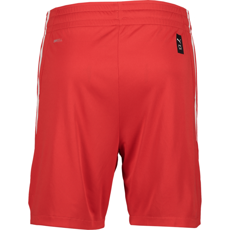 PUMA, TEAMJAWS STARTER SHORTS JR
