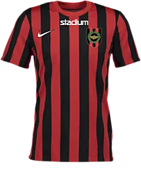 326366108101 NIKE Stripe Div Iv Jsy 326366108101 NIKE Stripe Div Iv Jsy Standard Small1x1