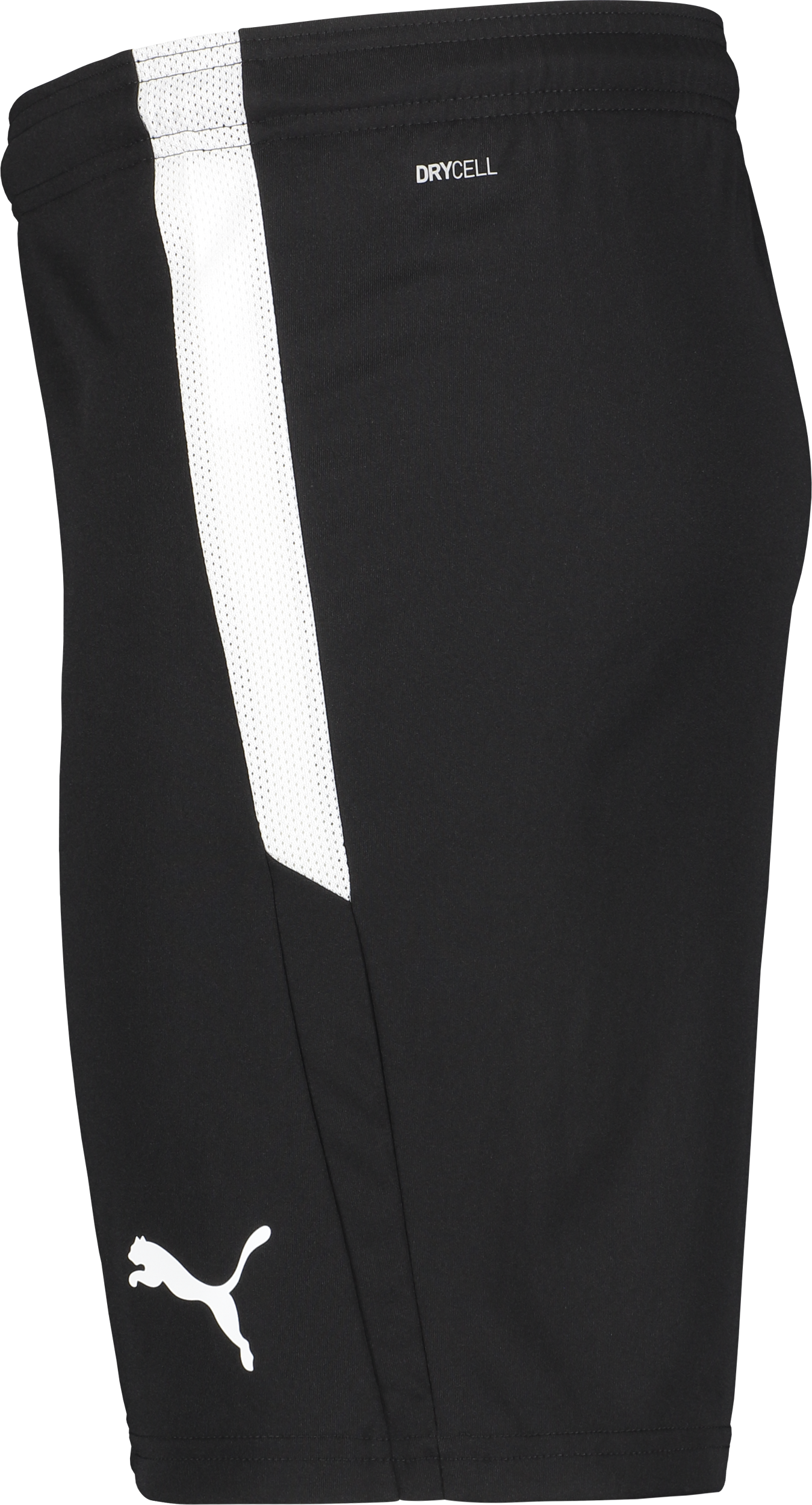 PUMA, T Liga Shorts Jr