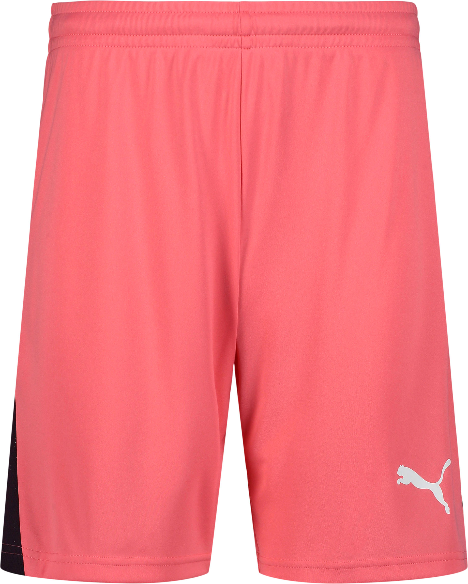 
PUMA, 
TEAMLIGA26 SHORTS, 
Detail 1
