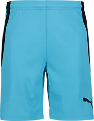 361522106101 PUMA T Liga Shorts 361522106101 PUMA T Liga Shorts Standard Small1x1