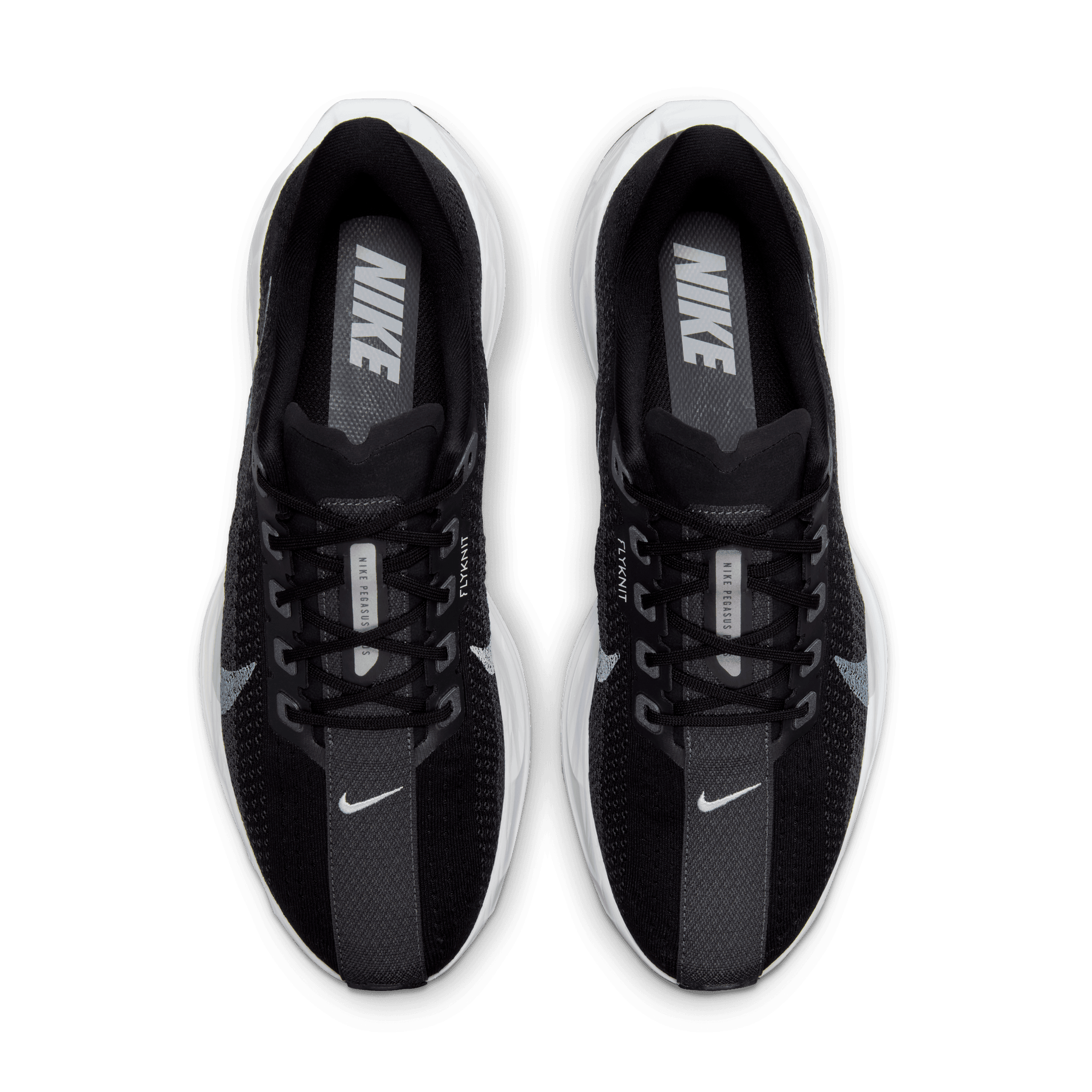 NIKE, M Pegasus Plus