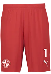 392286101101 PUMA T Goal Shorts Jr 392286101101 PUMA T Goal Shorts Jr Standard Small1x1