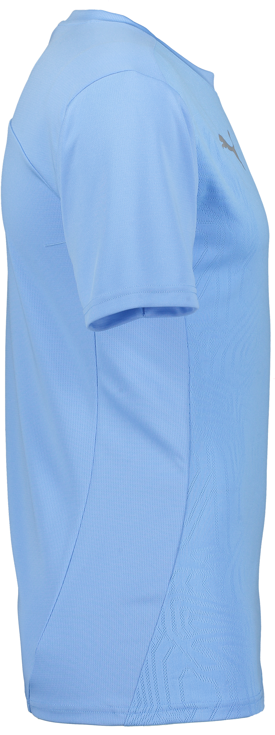 PUMA, T Final Trg Jsy