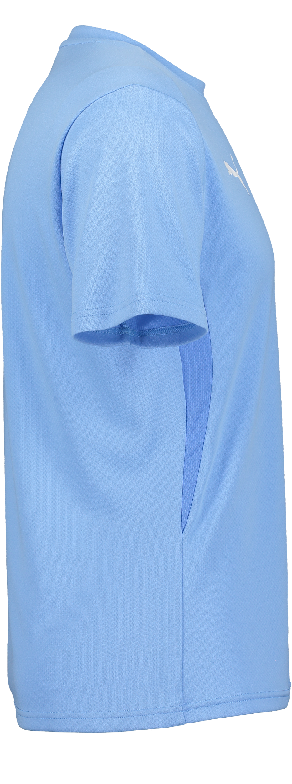 PUMA, T Goal Trg Jsy Jr