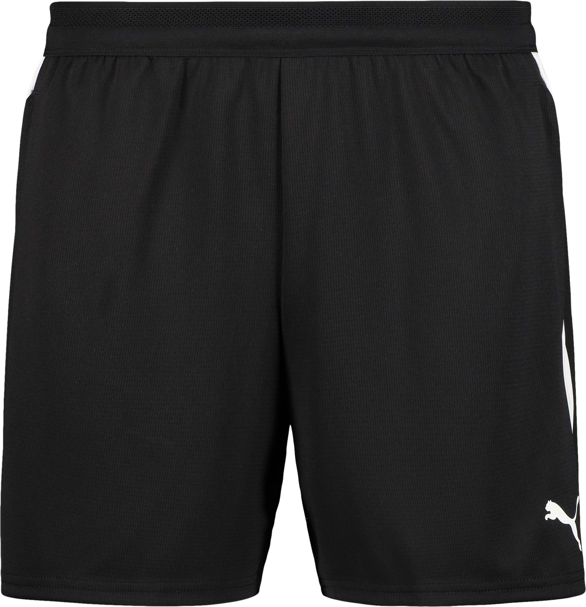 
PUMA, 
T FINAL26 TRG SHO W, 
Detail 1
