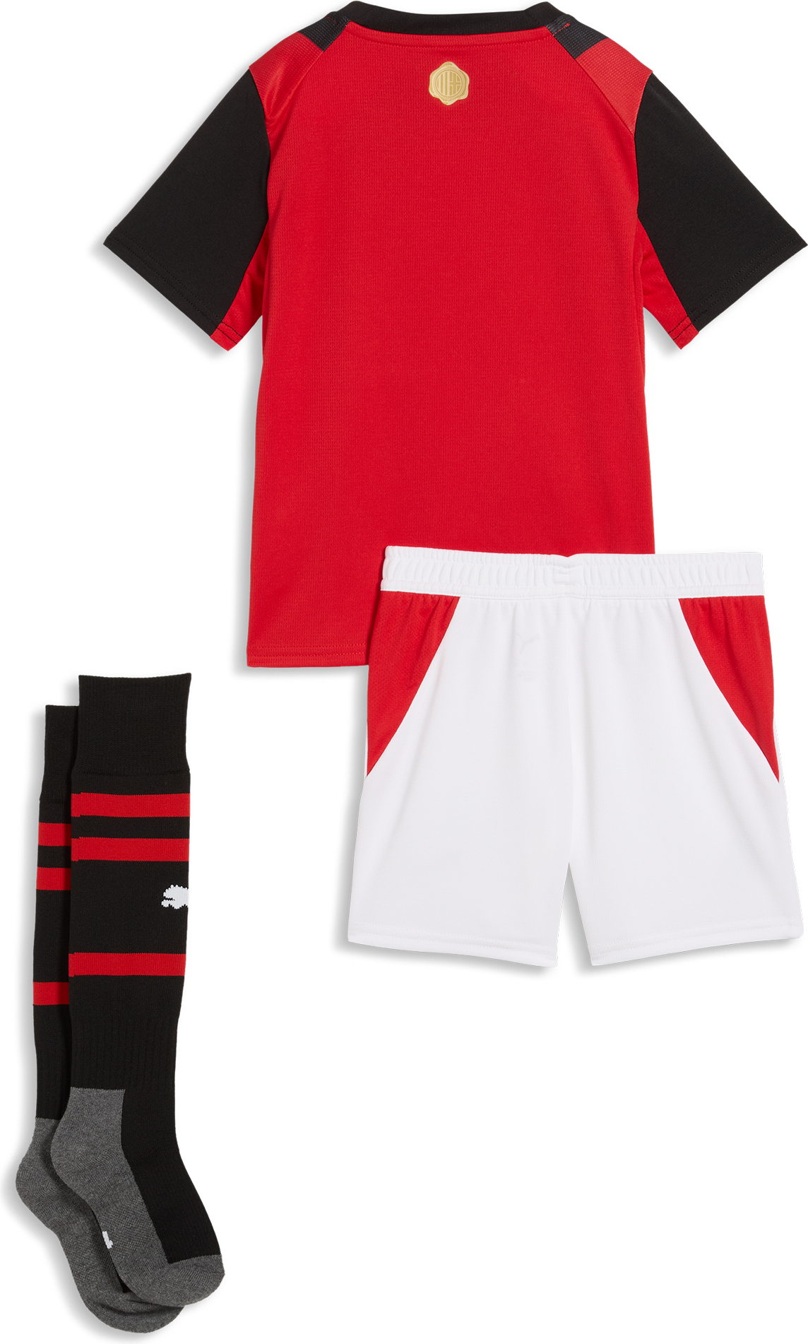 PUMA, ACM HOME MINIKIT