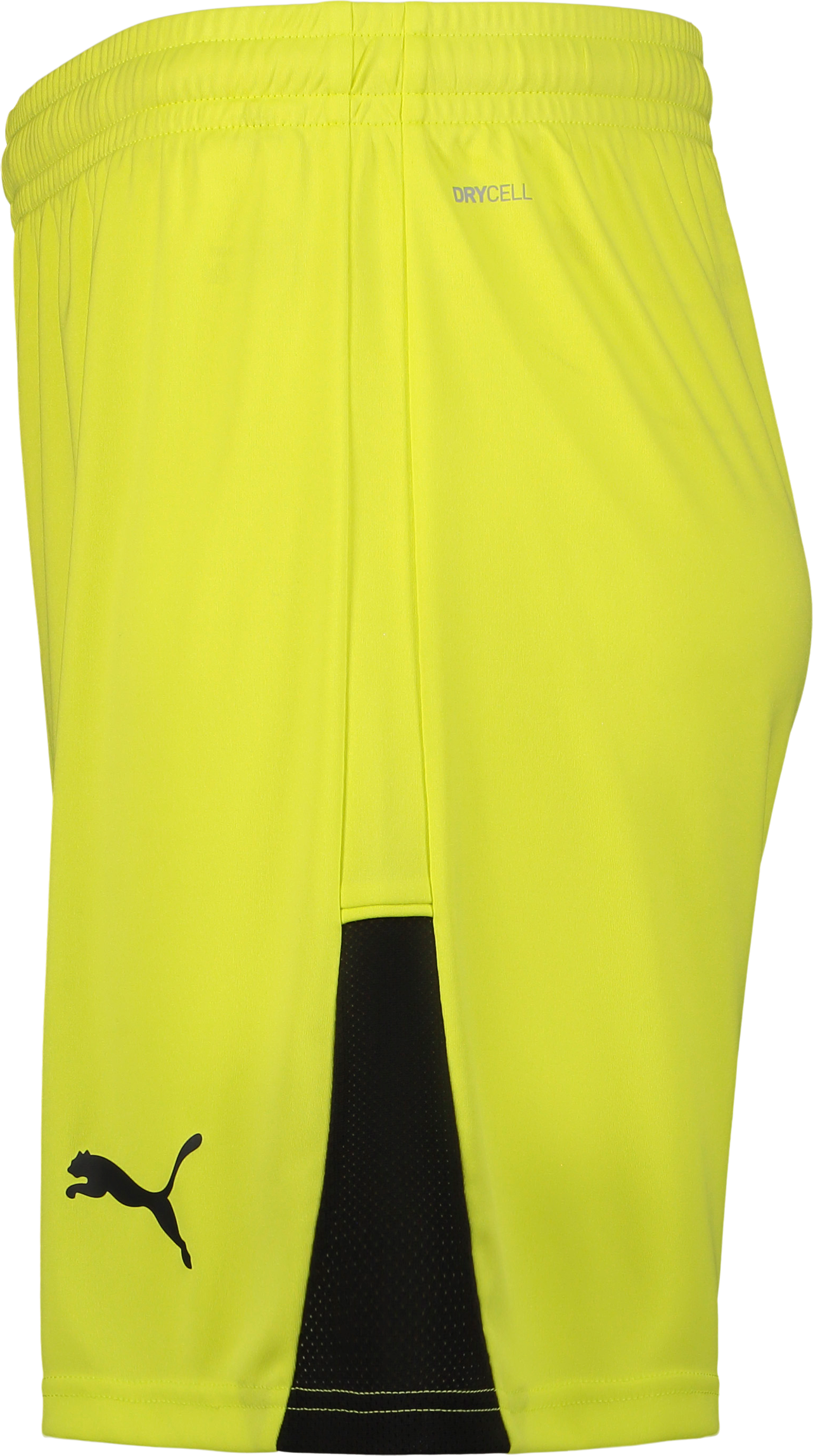 PUMA, TEAMLIGA26 SHORTS