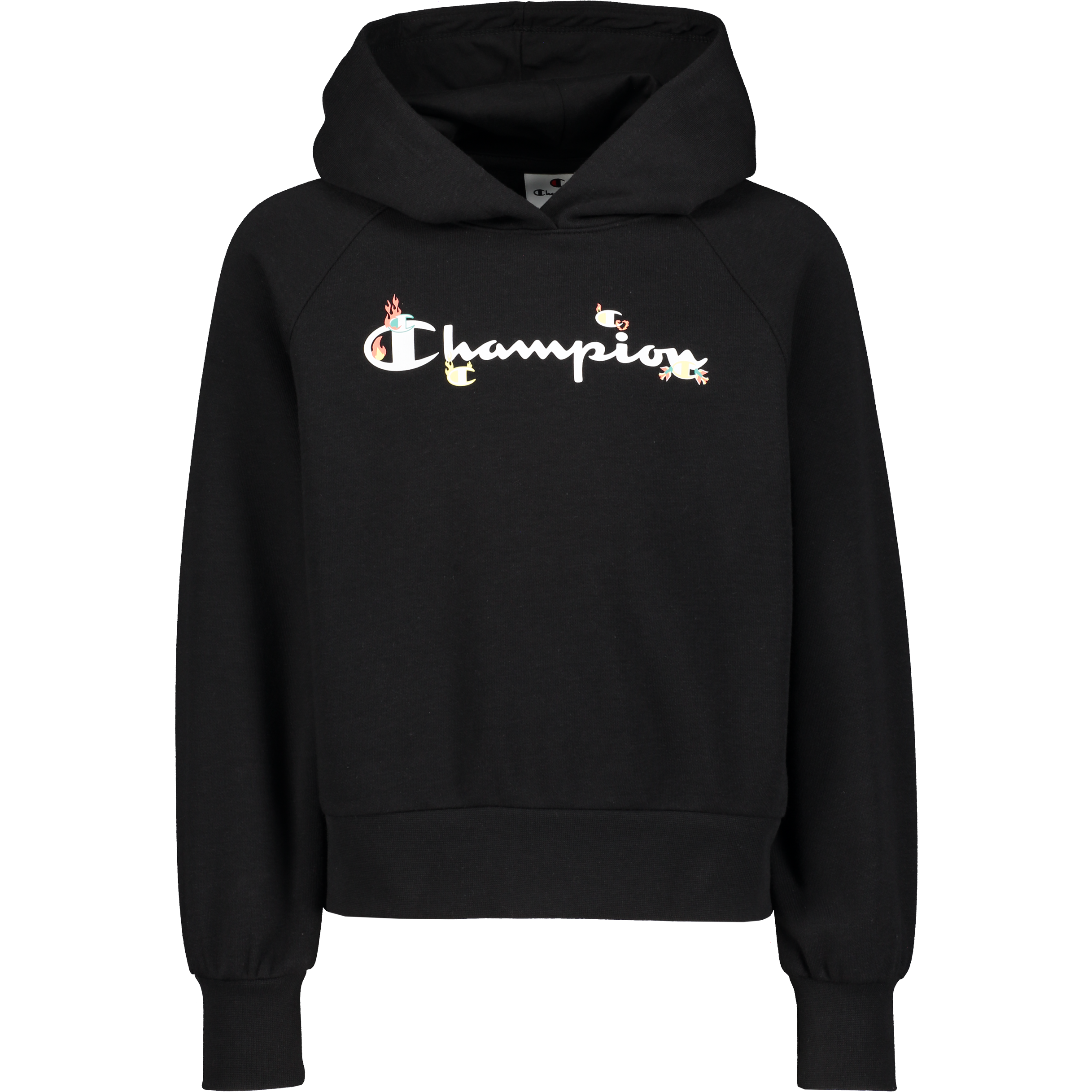 
CHAMPION, 
Hooded Sweatshirt G Jr, 
Detail 1
