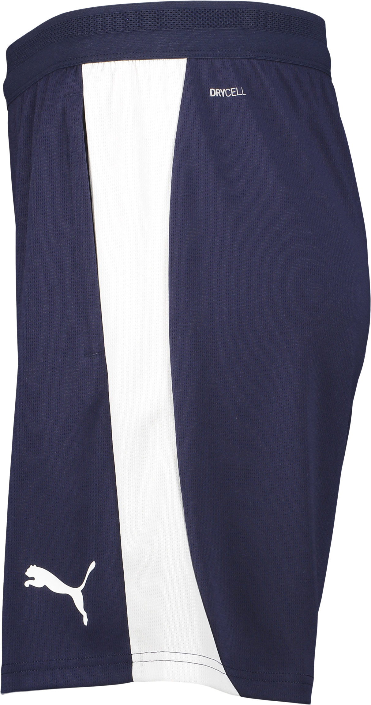 PUMA, TEAMFINAL26 TRAINING SHORTS