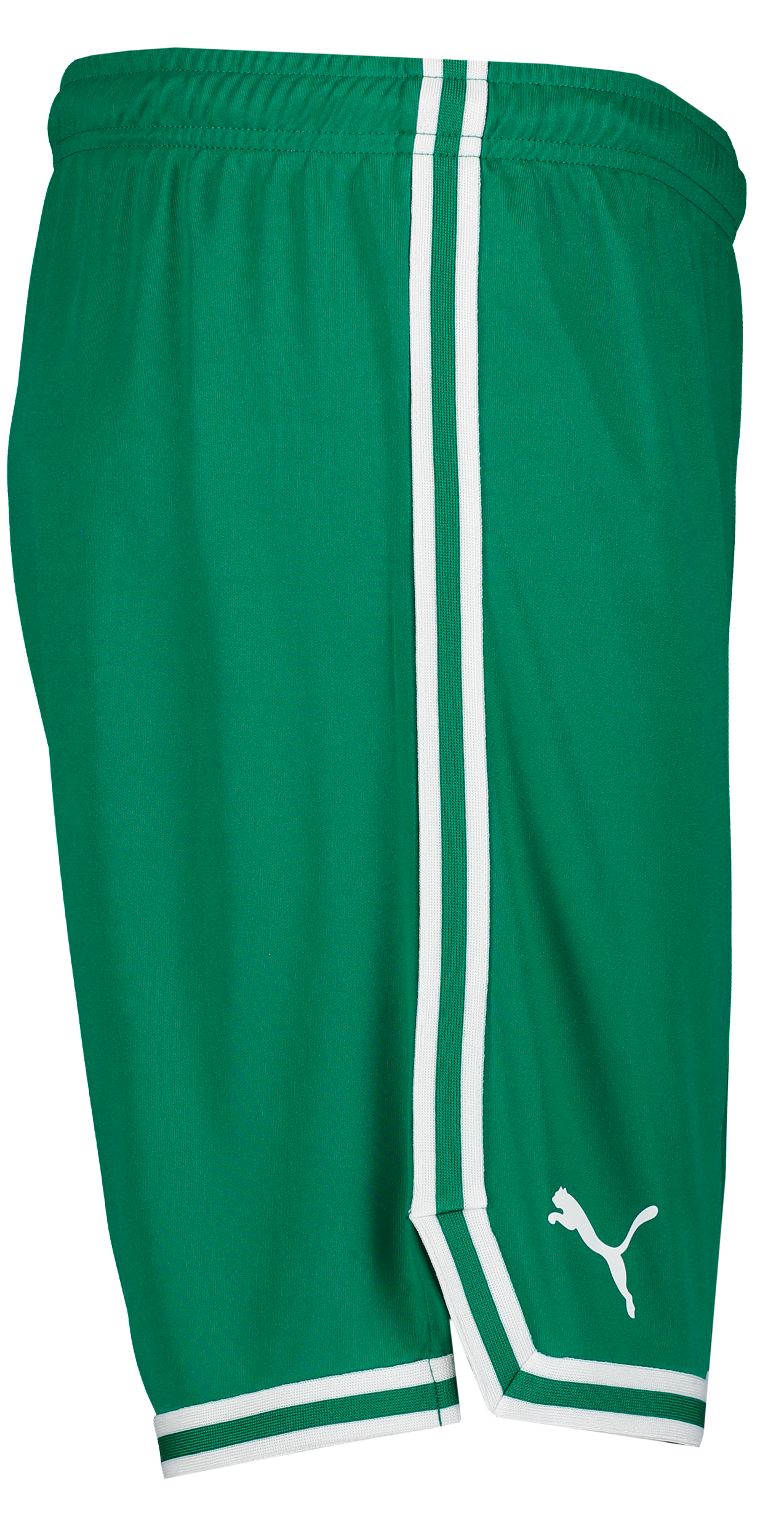 PUMA, Hoops Team Game Short