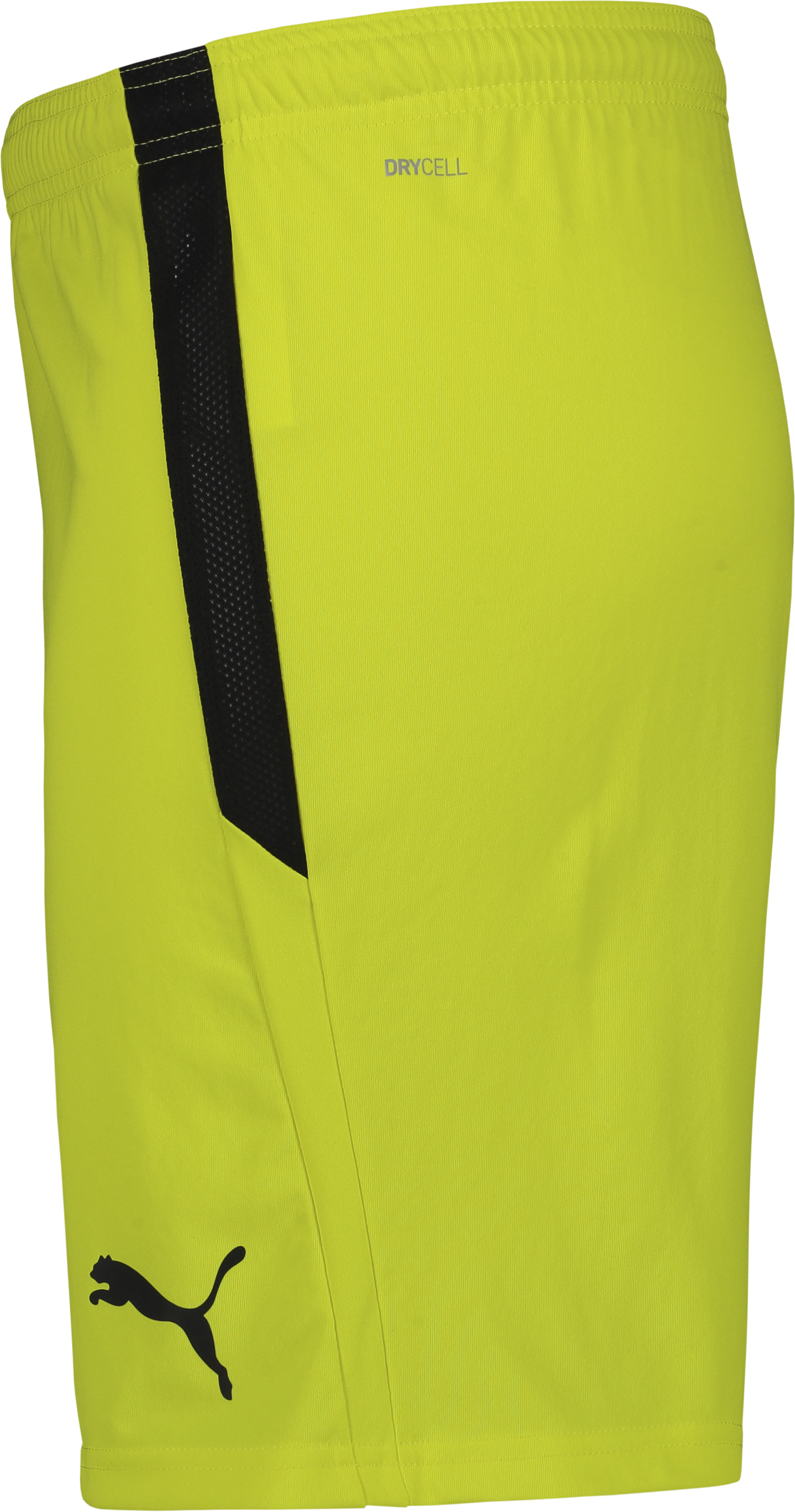 PUMA, T Liga Shorts Jr