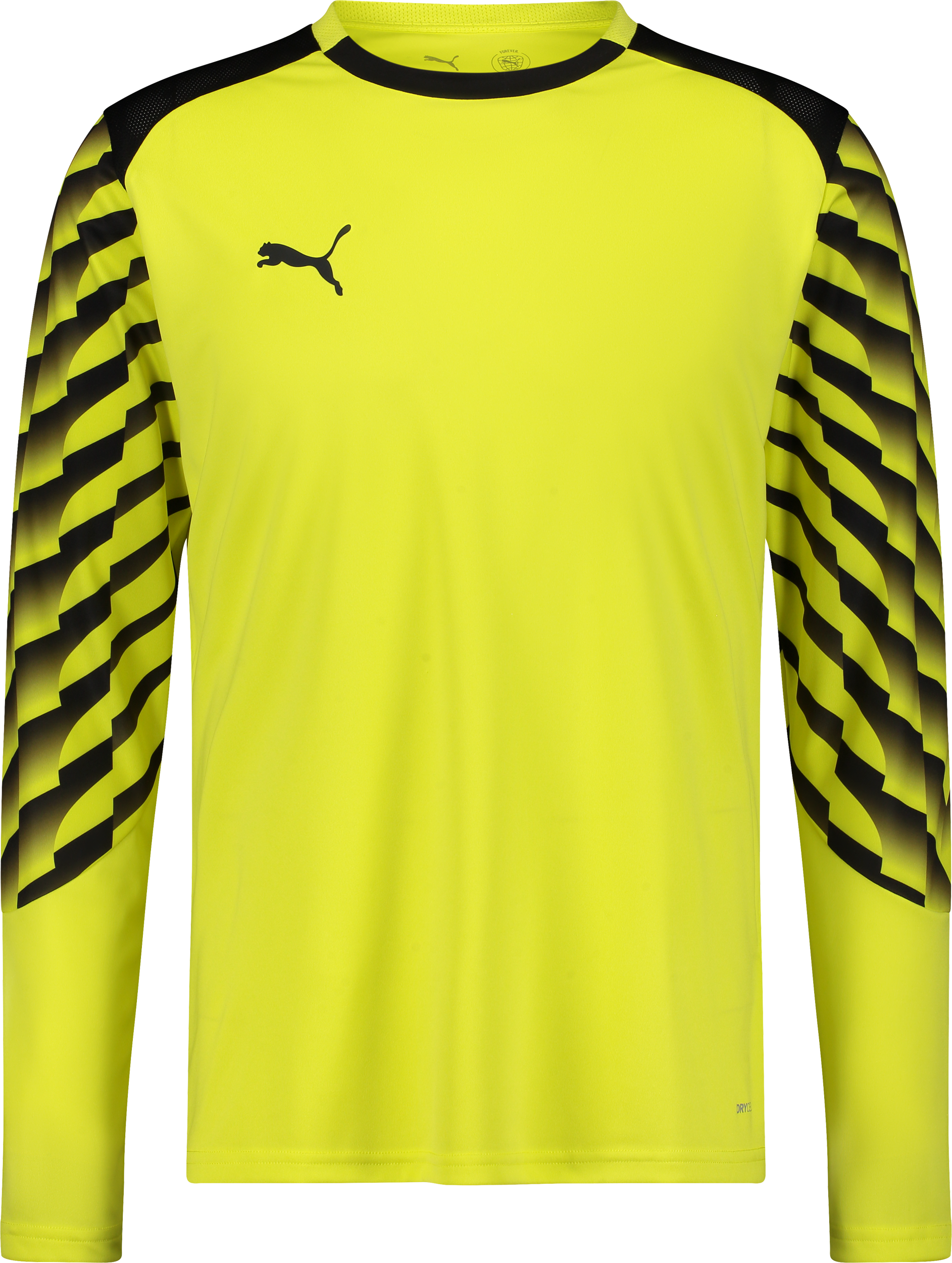 
PUMA, 
TEAMLIGA26 GK JERSEY LS JR, 
Detail 1
