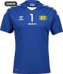 367941114101 HUMMEL Core Xk Poly Jsy Ss Jr 367941114101 HUMMEL Core Xk Poly Jsy Ss Jr Standard Small1x1