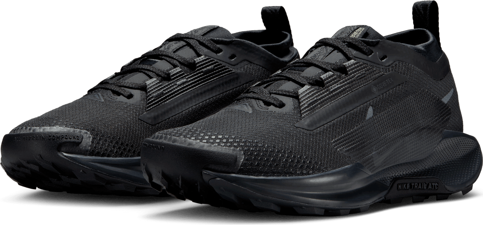 NIKE, W Pegasus Trail 5 Gore-Tex