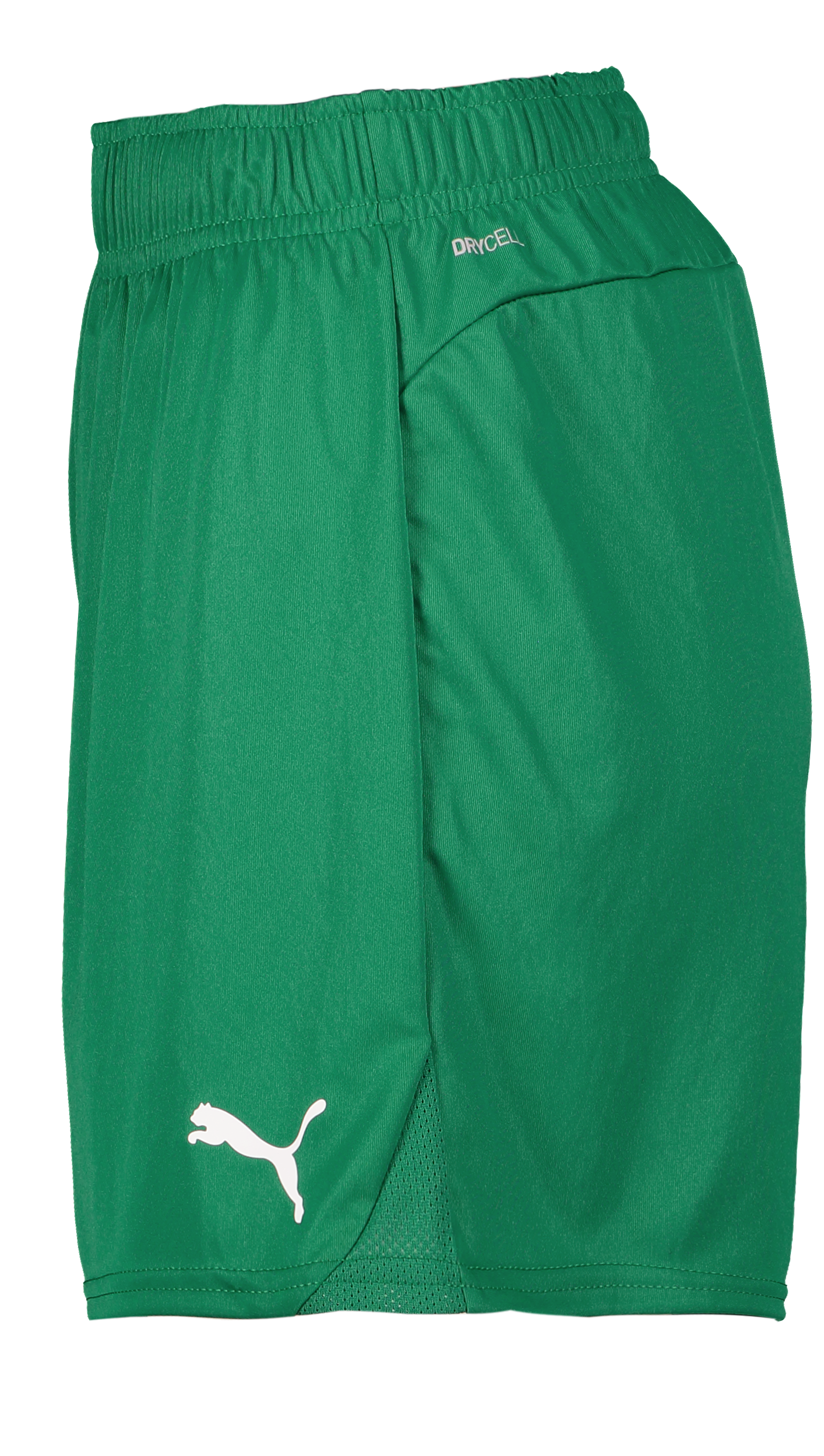 PUMA, T Goal Shorts Wmns