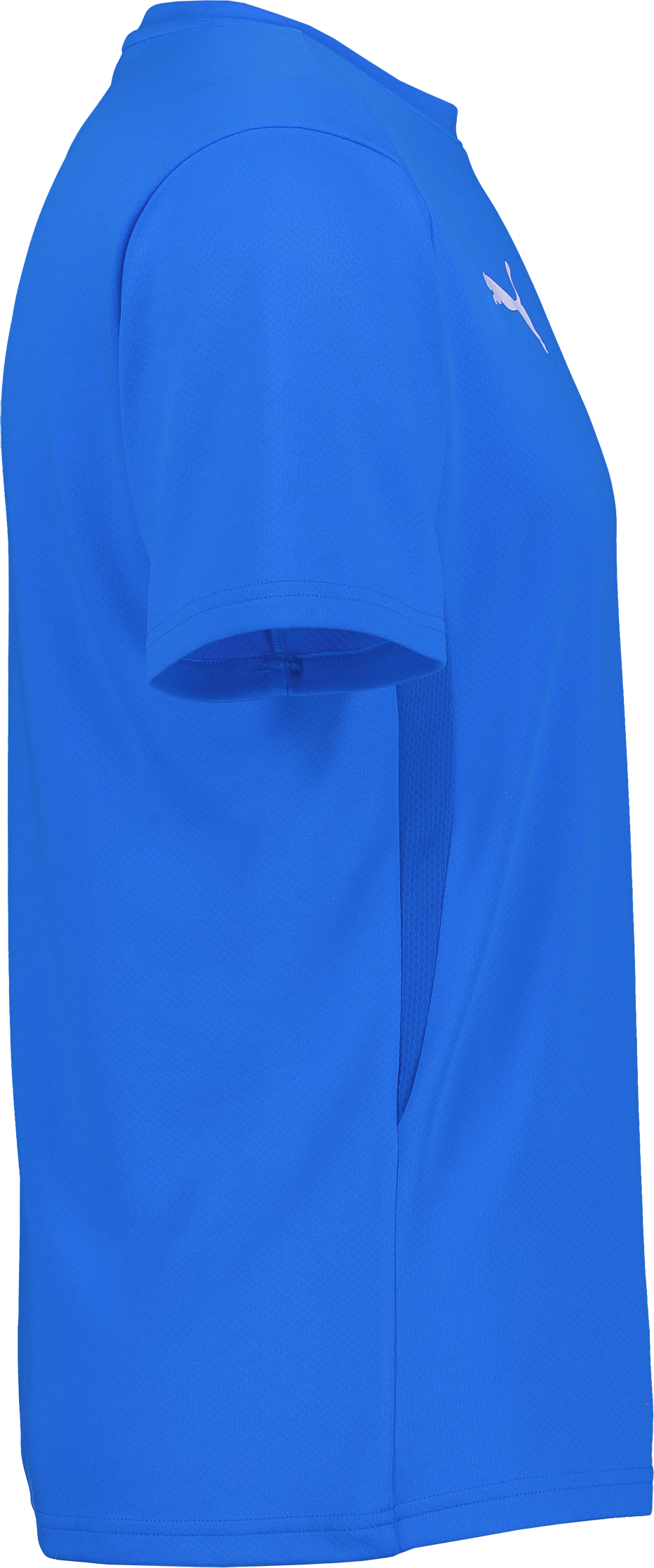 PUMA, T Goal Trg Jsy Jr