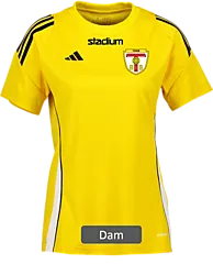 390924102101 ADIDAS Tiro24 Jsy W 390924102101 ADIDAS Tiro24 Jsy W Standard Small1x1