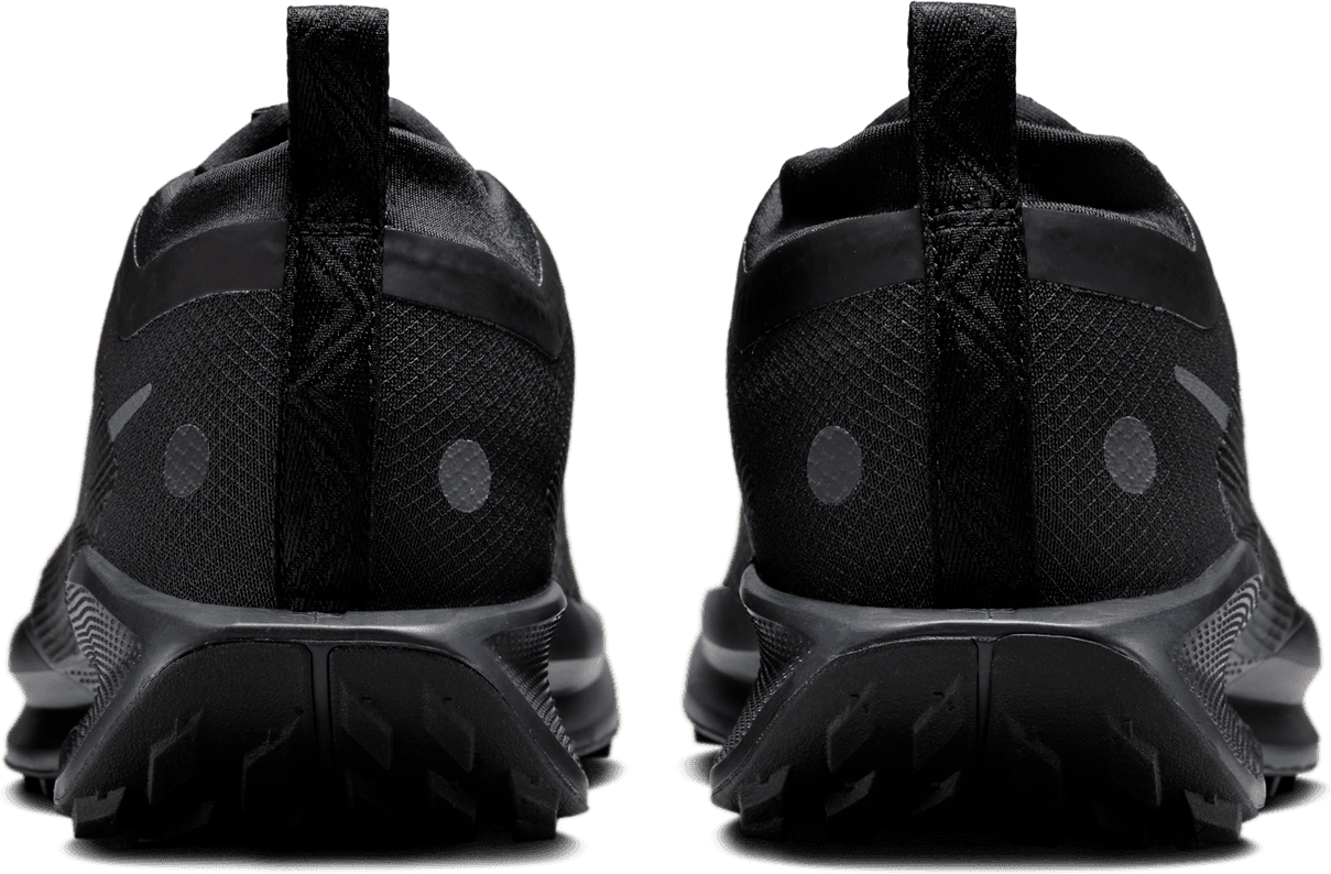 NIKE, W Pegasus Trail 5 Gore-Tex