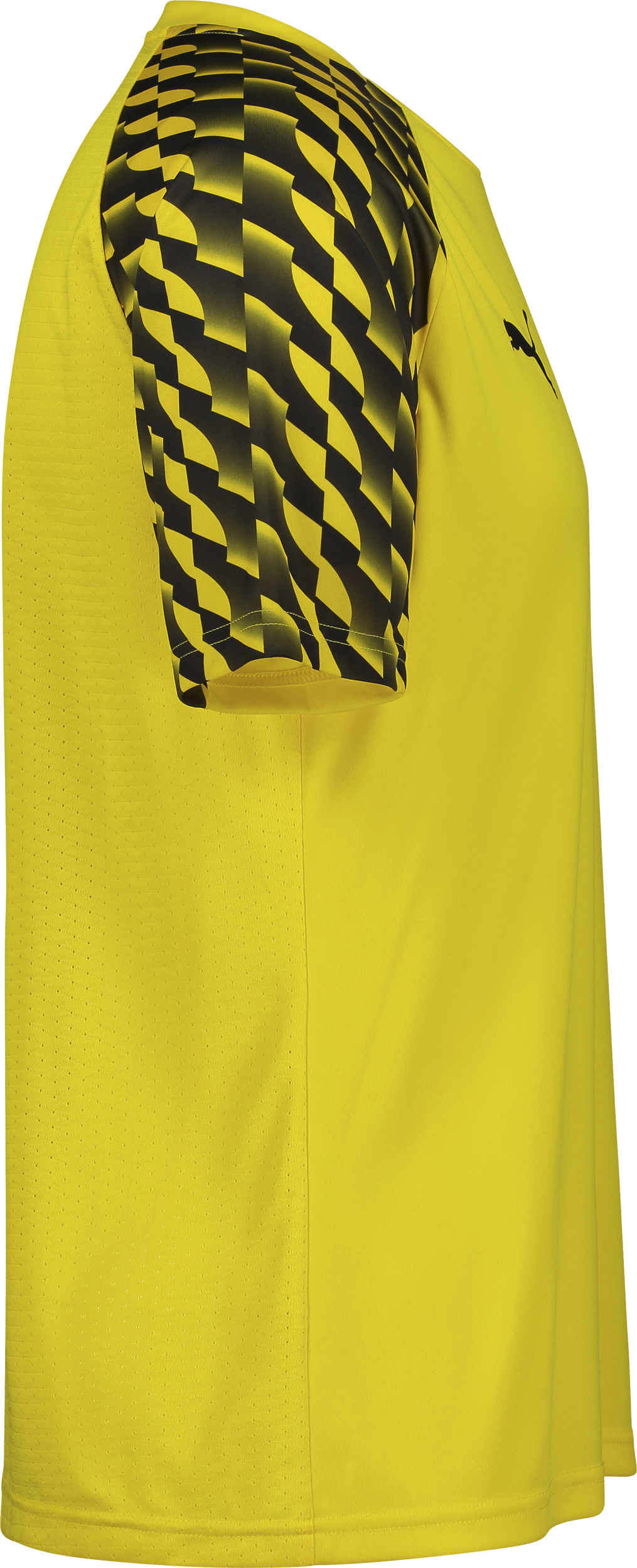 PUMA, TEAMLIGA26 JERSEY JR