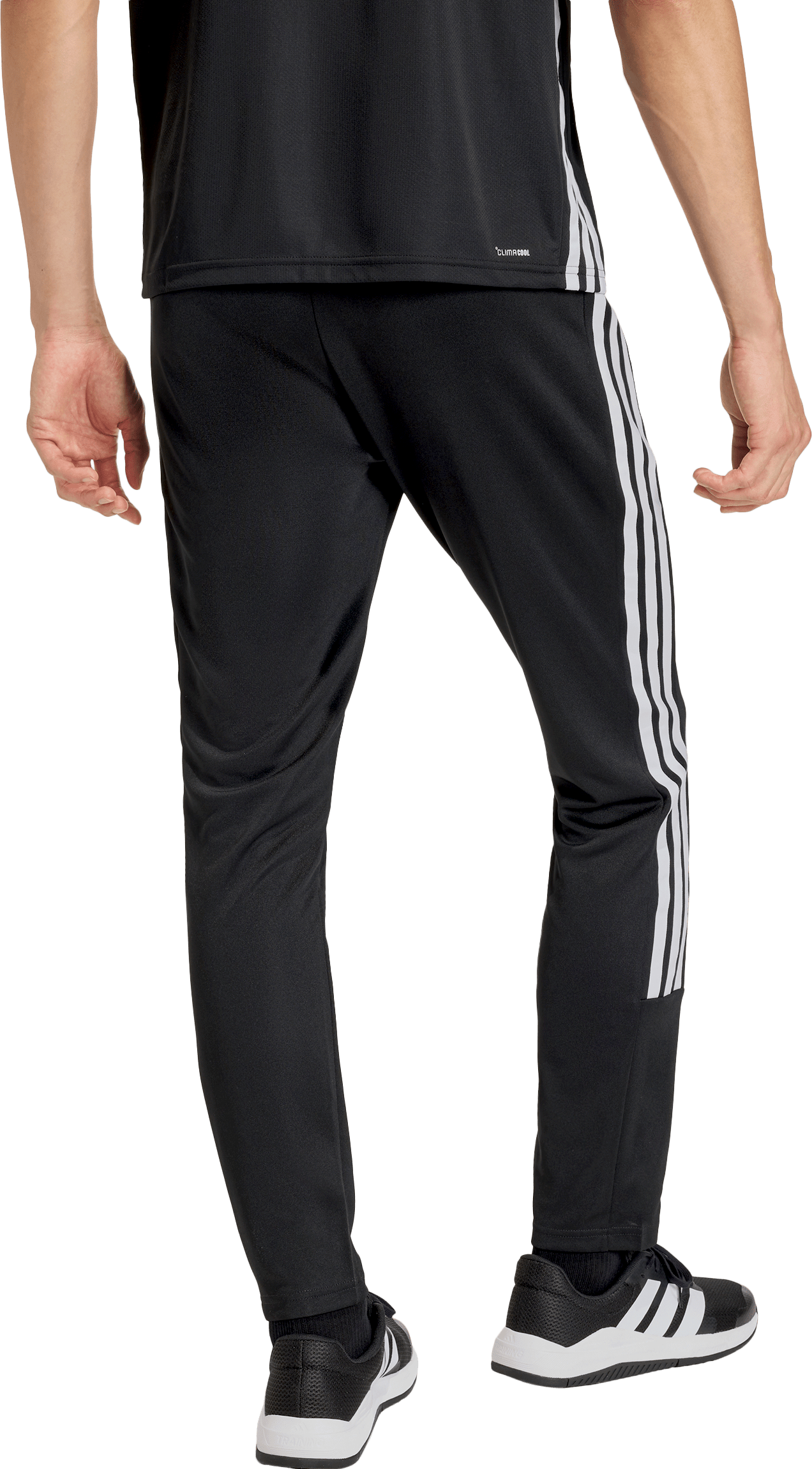 ADIDAS, WE ALLSET 3S PT