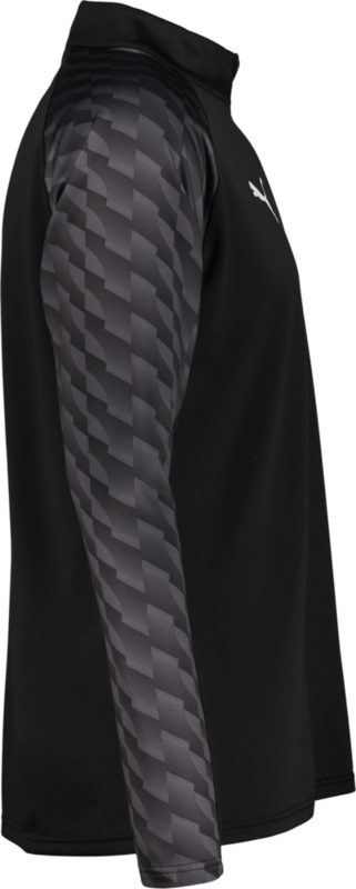 PUMA, TEAMLIGA26 TRAINING 1/4 ZIP TOP JR