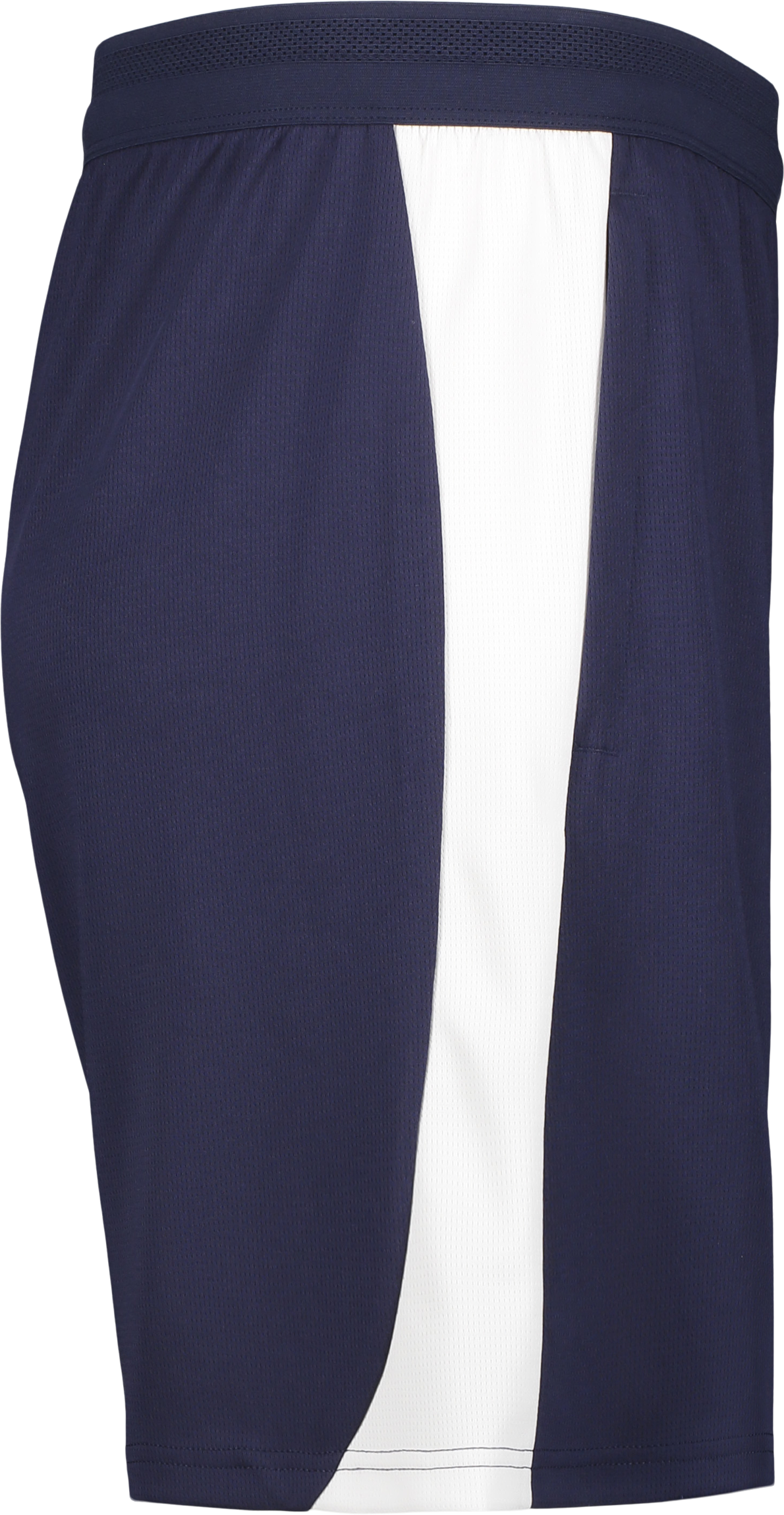 PUMA, TEAMFINAL26 TRAINING SHORTS