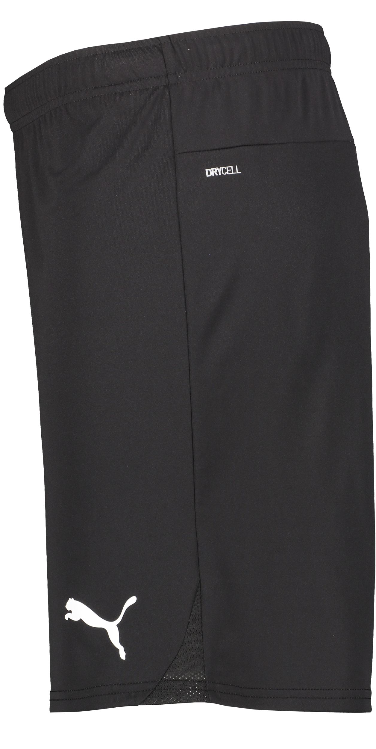 PUMA, T Goal Shorts Jr