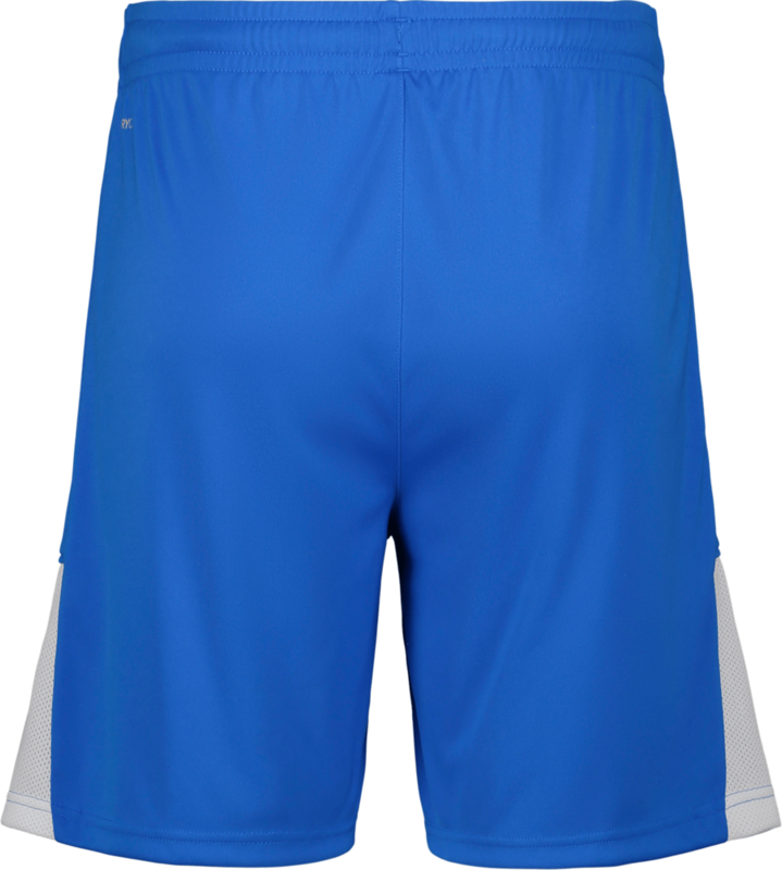 PUMA, TEAMLIGA26 SHORTS