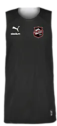 391385101101 PUMA Hoops Team Junior Reversible Practice Jersey 391385101101 PUMA Hoops Team Junior Reversible Practice Jersey Standard Small1x1